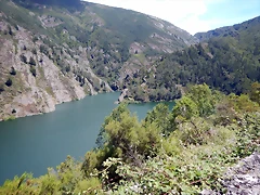 DSCN1446 DSCN1446