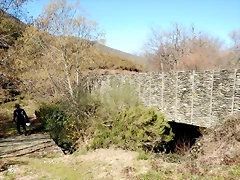 DSCN1521 DSCN1521
