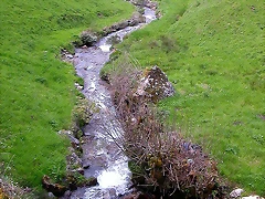 DSCN9099 DSCN9099