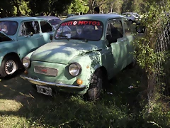 SDC14787 SDC14787