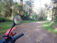 DSCN2082 DSCN2082