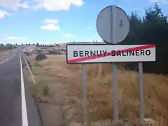 Concentracion Gemu?o 161  (Bernuy-Salinero)