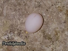FB_IMG_1542318191698 FB_IMG_1542318191698