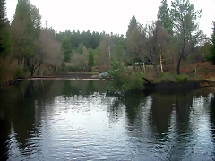 DSCN5336 DSCN5336