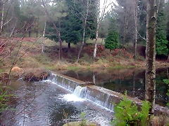 DSCN5334 DSCN5334