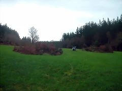 DSCN5321 DSCN5321