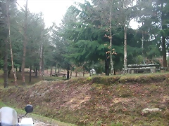 DSCN5337 DSCN5337