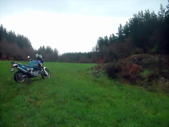 DSCN5322 DSCN5322