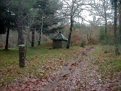 DSCN5332 DSCN5332