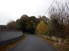 DSCN1098 DSCN1098