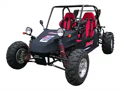 Buggy 1100