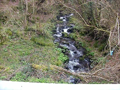 DSCN8160 DSCN8160