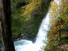 DSCN6141 DSCN6141