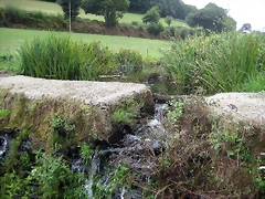 IMG_0294 IMG_0294
