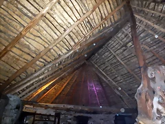 DSCN1403 DSCN1403