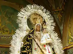 20, la virgen 3, marca vale