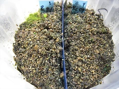 SAM_0089 SAM_0089