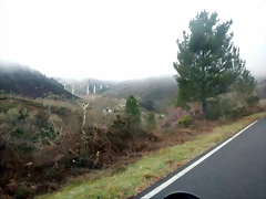 DSCN4893 DSCN4893
