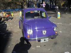 SDC12542 SDC12542