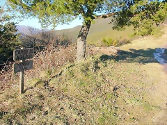 DSCN8076 DSCN8076