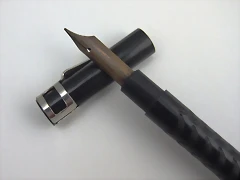 pluma sin marca 2
