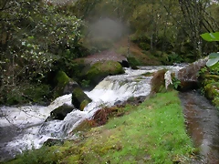 DSCN5742 DSCN5742