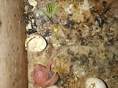 20190305_193452 20190305_193452
