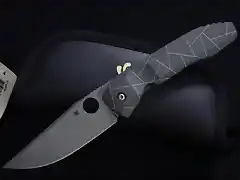 Spyderco_Nirvana_1