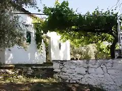 018, cortijo del joyo, marca