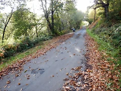 DSCN8443 DSCN8443