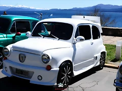 CAS_3962 CAS_3962