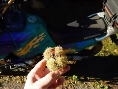 DSCN9030 DSCN9030