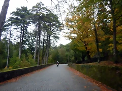 DSCN1857 DSCN1857
