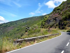 DSCN1469'2 DSCN1469'2