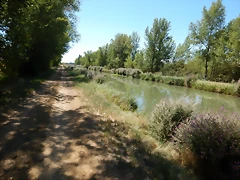 DSCN8126 DSCN8126