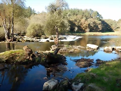 DSCN1057