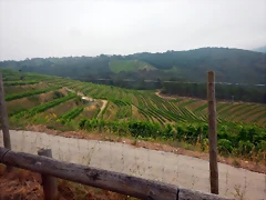 DSCN6250 DSCN6250