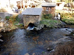 DSCN2821 DSCN2821