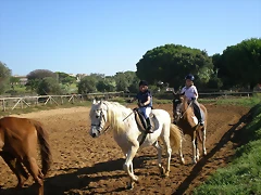 SARDINADA 023 SARDINADA 023