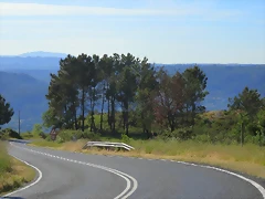 001-Imagen 002 001-Imagen 002
