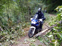DSCN9816 DSCN9816
