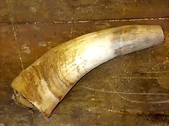 20180618_165710 20180618_165710