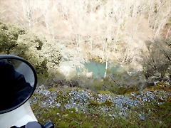DSCN3199 DSCN3199