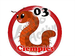 ciempies