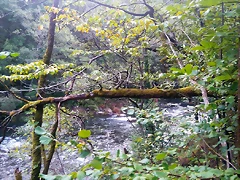 _20170914_132742