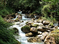IMG_7704 IMG_7704