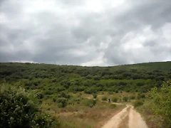 DSCN6150 DSCN6150