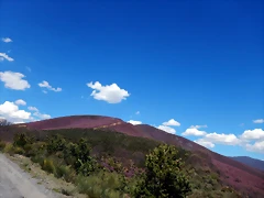 DSCN9531 DSCN9531