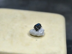 IMG_20250501_194409 IMG_20250501_194409