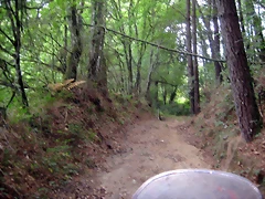 IMG_0411 IMG_0411